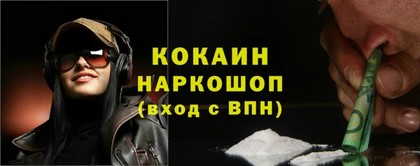 кокс Алексин