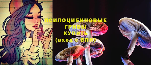 кокс Алексин