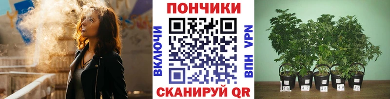 Бошки марихуана конопля  Энгельс 